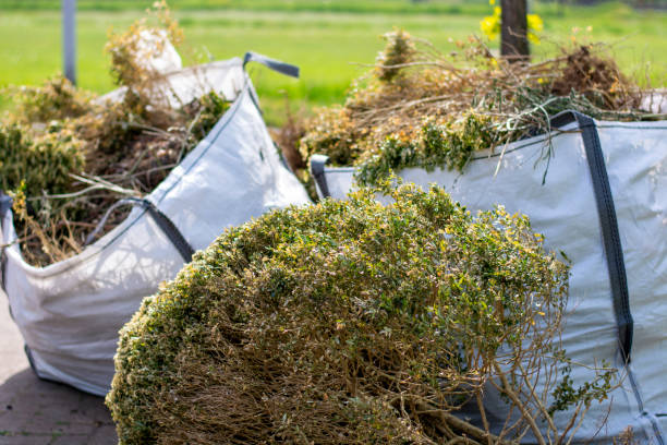 Best Shed Removal  in Minneapolis, MN